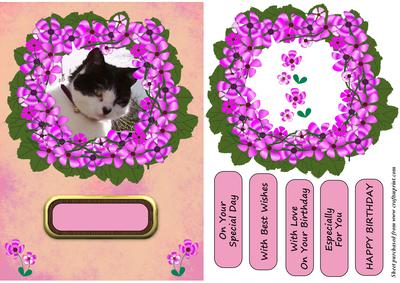 Cat in Purple Flower Frame