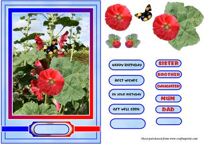 Hollyhocks with Butterfly