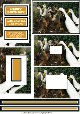 A Huddle of Ducks Tunnel Card Topper