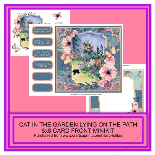 Cat In The Garden Lying On The Path