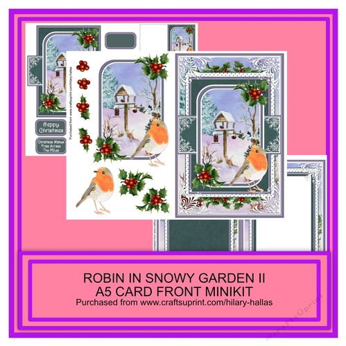 Robin In Snowy Garden II A5 Card Front Minikit