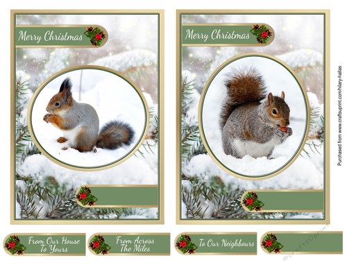 Squirrels In The Snow