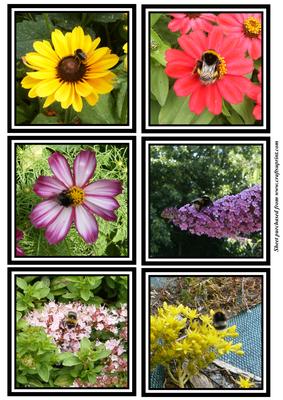 Bees on Flowers Toppers