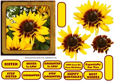 Rudbeckia Decoupage