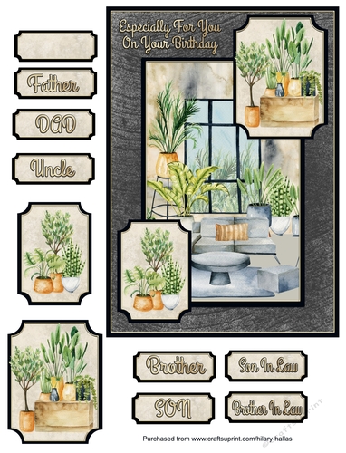 Houseplant Heaven
