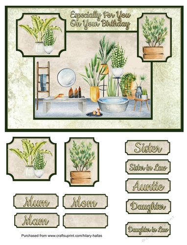 Houseplant Heaven 2