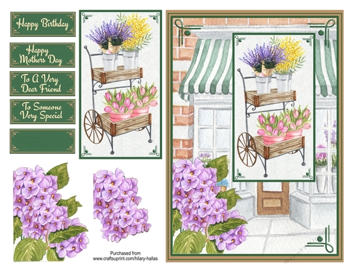 The Flower Shop