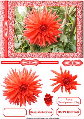 Red Dahlia Decoupage