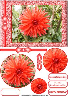 Red Dahlia Pyramid