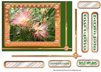Mimosa Flowers with Copper Frame