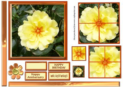 Yellow Floribunda Twisted Pyramage