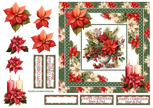 Poinsettia Display 1