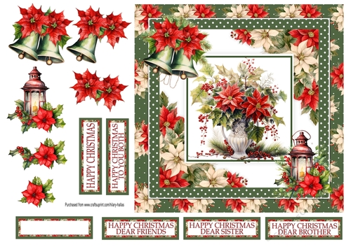 Poinsettia Display 2