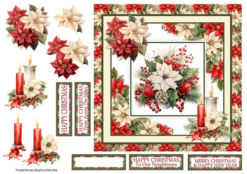Poinsettia Display 4