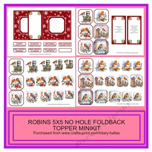 Robins 5x5 No Hole Foldback Card With Toppers Minikit