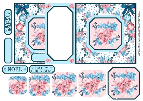 Pink & Blue Poinsettia