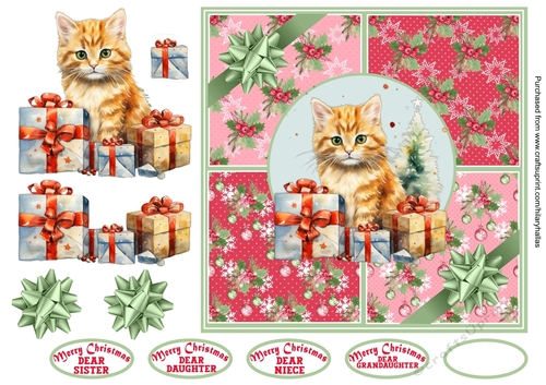Pets Like Christmas Kitten