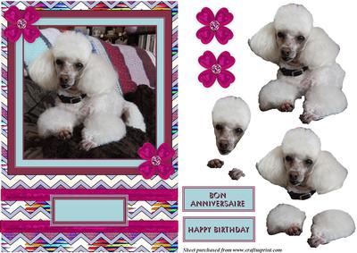 Cute Little Poodle Decoupage
