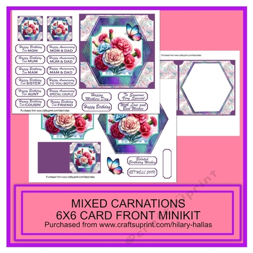Mixed Carnation 6x6 Card Front Minikit