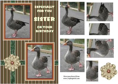 Grey Geese Card Front