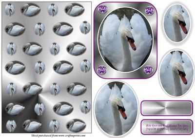 Swan Silver Wedding Card
