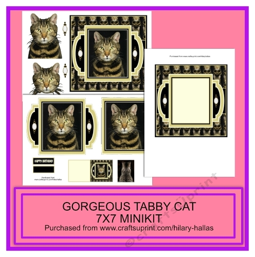 Gorgeous Tabby Cat 7x7 Minikit