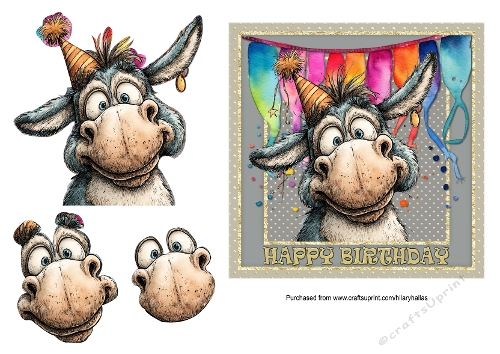 Quirky Donkey 6x6 Birthday Card