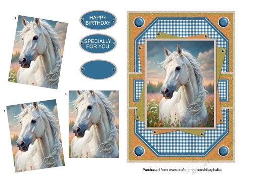 Beautiful White Horse