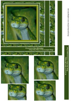 Green Snake Sssssuper Day Pyramid