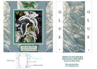 Frosty Leaves Double Fold-back Card Front