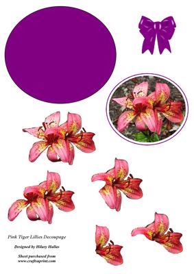 Pink Tiger Lilies Decoupage