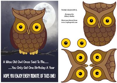 Wise Old Owl