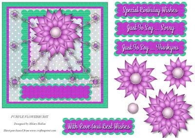 Purple Flowerburst