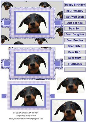 Cute Doberman Puppy