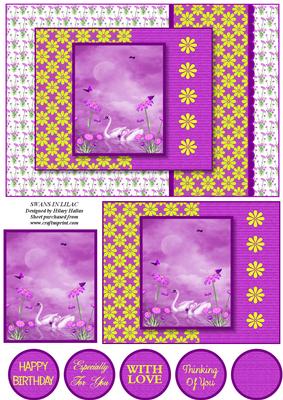 Swans in Lilac