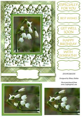 Snowdrops