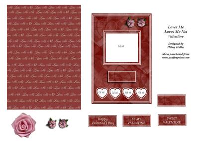 Loves Me Loves Me Not Valentine