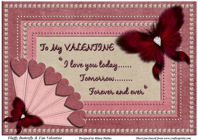 Fluffy Butterfly & Fan Valentine