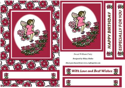 Sweet William Fairy