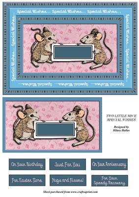 Two Little Mice Special Wishes