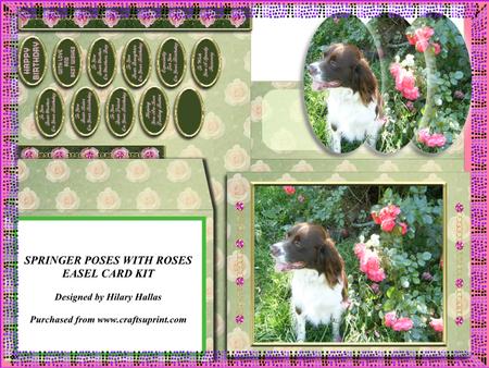 Springer Poses with Roses Easel Card Kit