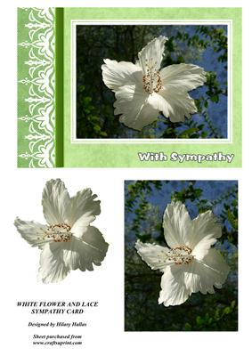White Flower & Lace Sympathy Card