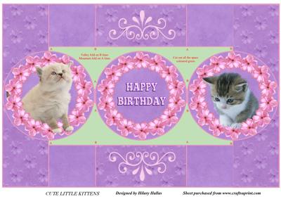 Cute Little Kittens Trifold Popup Card