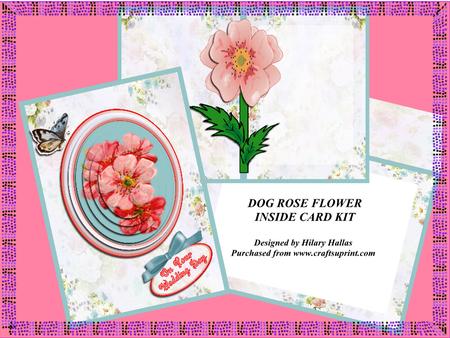 Dog Rose Flower Inside Card Kit