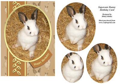 Supercute Bunny Birthday Card