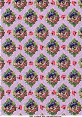 Purple Pansy with Pink Fans Background