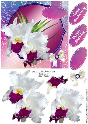 Beautiful Orchids