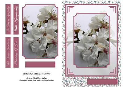 Almond Blossom Sympathy