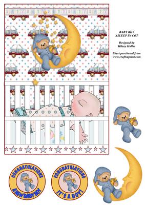 Baby Boy Asleep in Cot