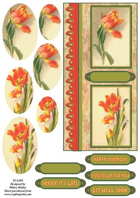 Tulips